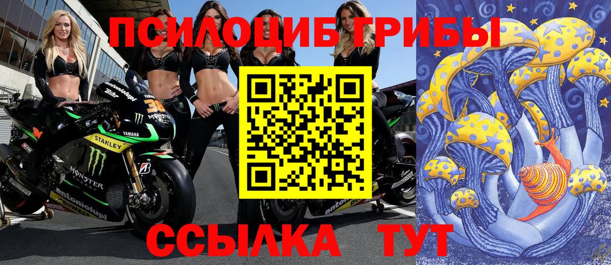 Псилоцибиновые грибы Cubensis  Вход с VPN  Надым 