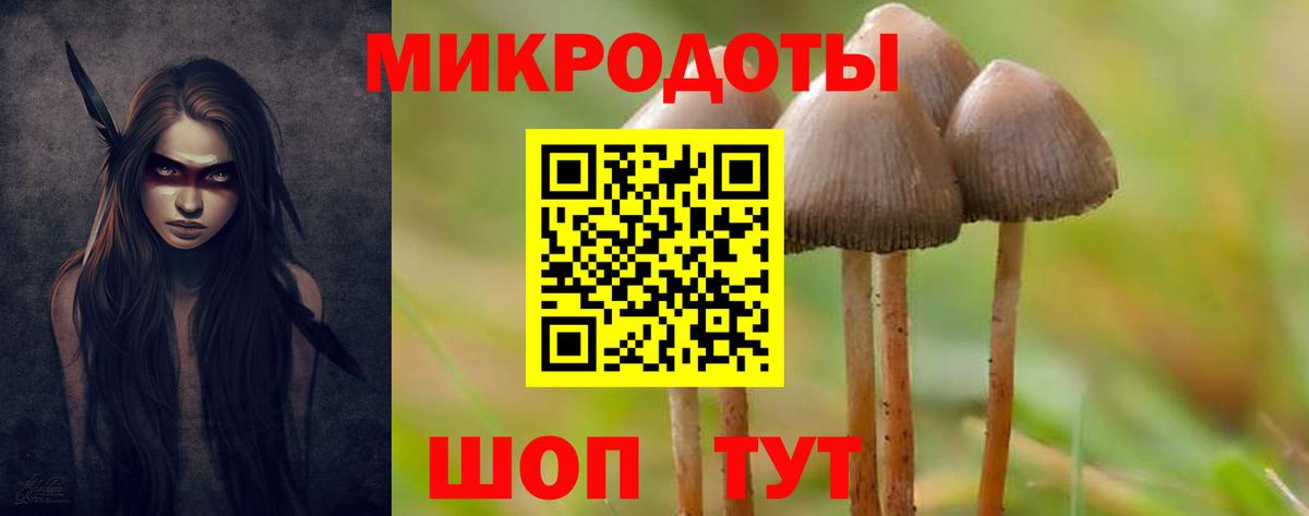 Галлюциногенные грибы прущие грибы Надым